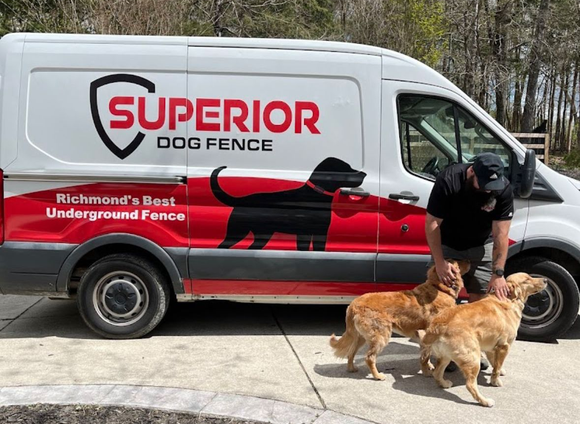 Man with three golden retrievers near a Superior Dog Fence van.