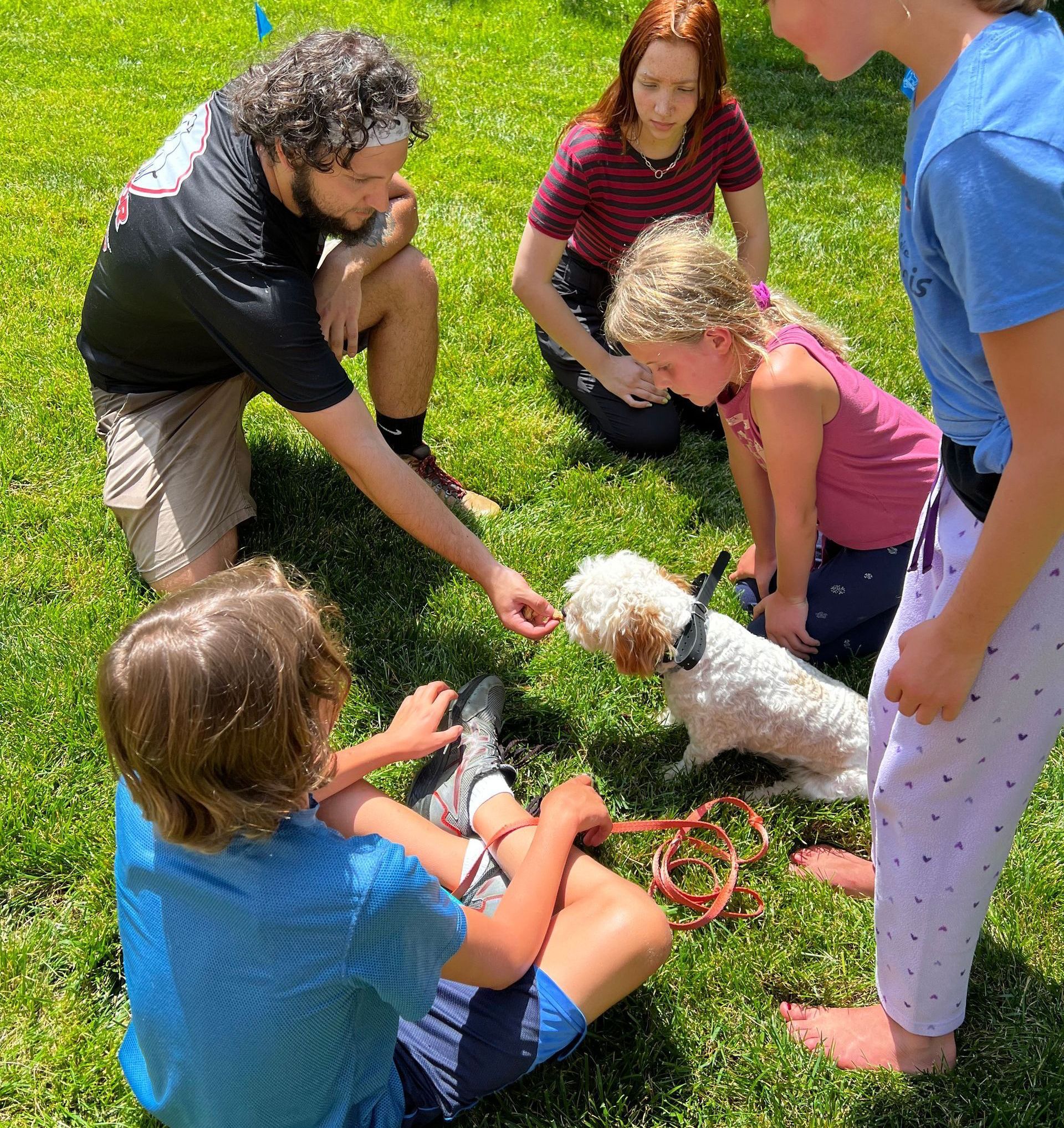 A group of people are playing with a dog in the grass