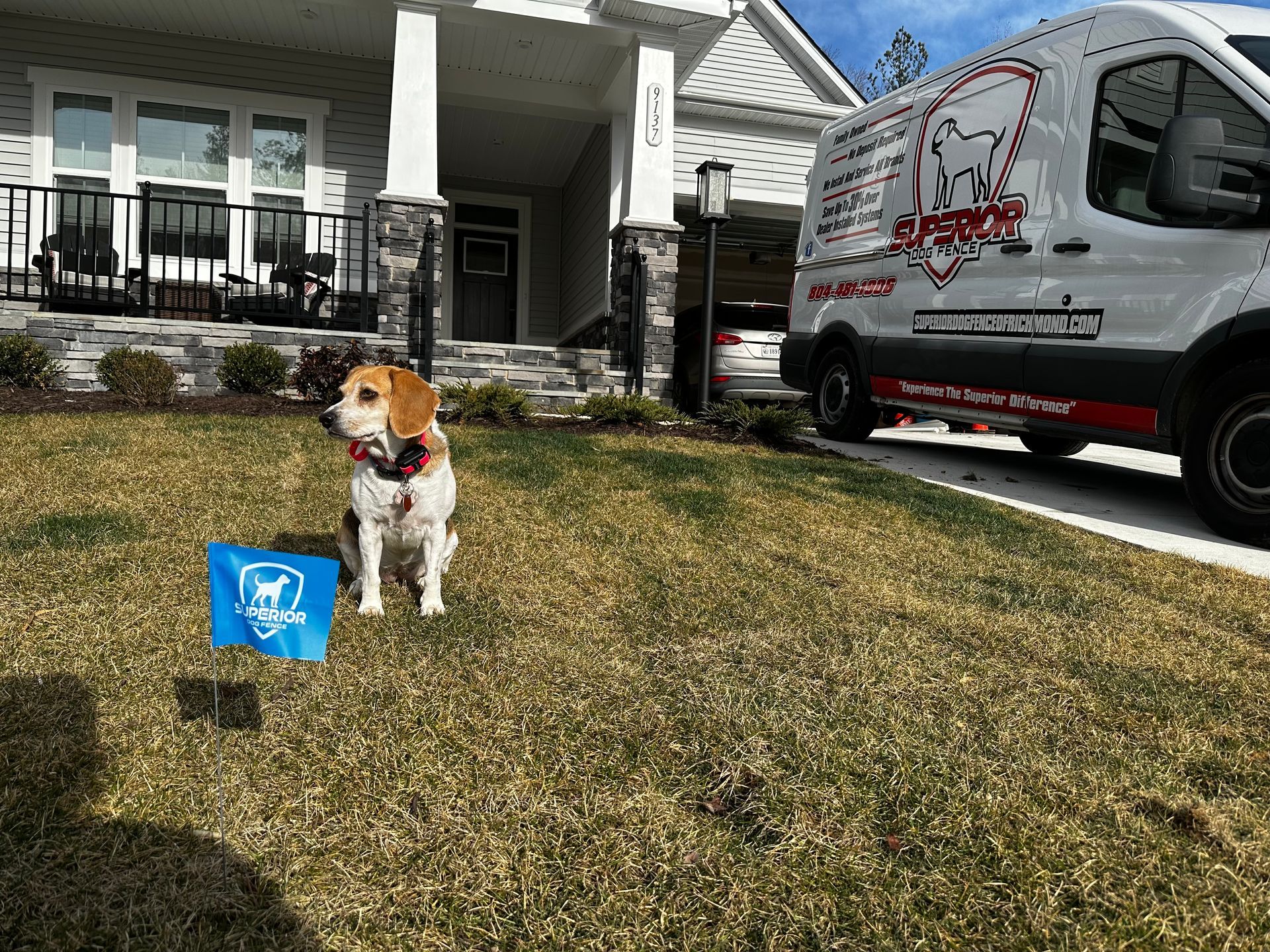 Beagle sits near blue sign in front of a house. Service van parked nearby.