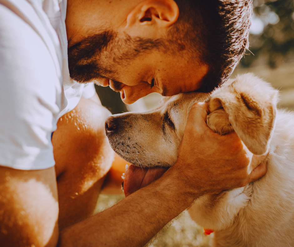 A man and a dog are looking at each other and the dog is licking the man 's face.