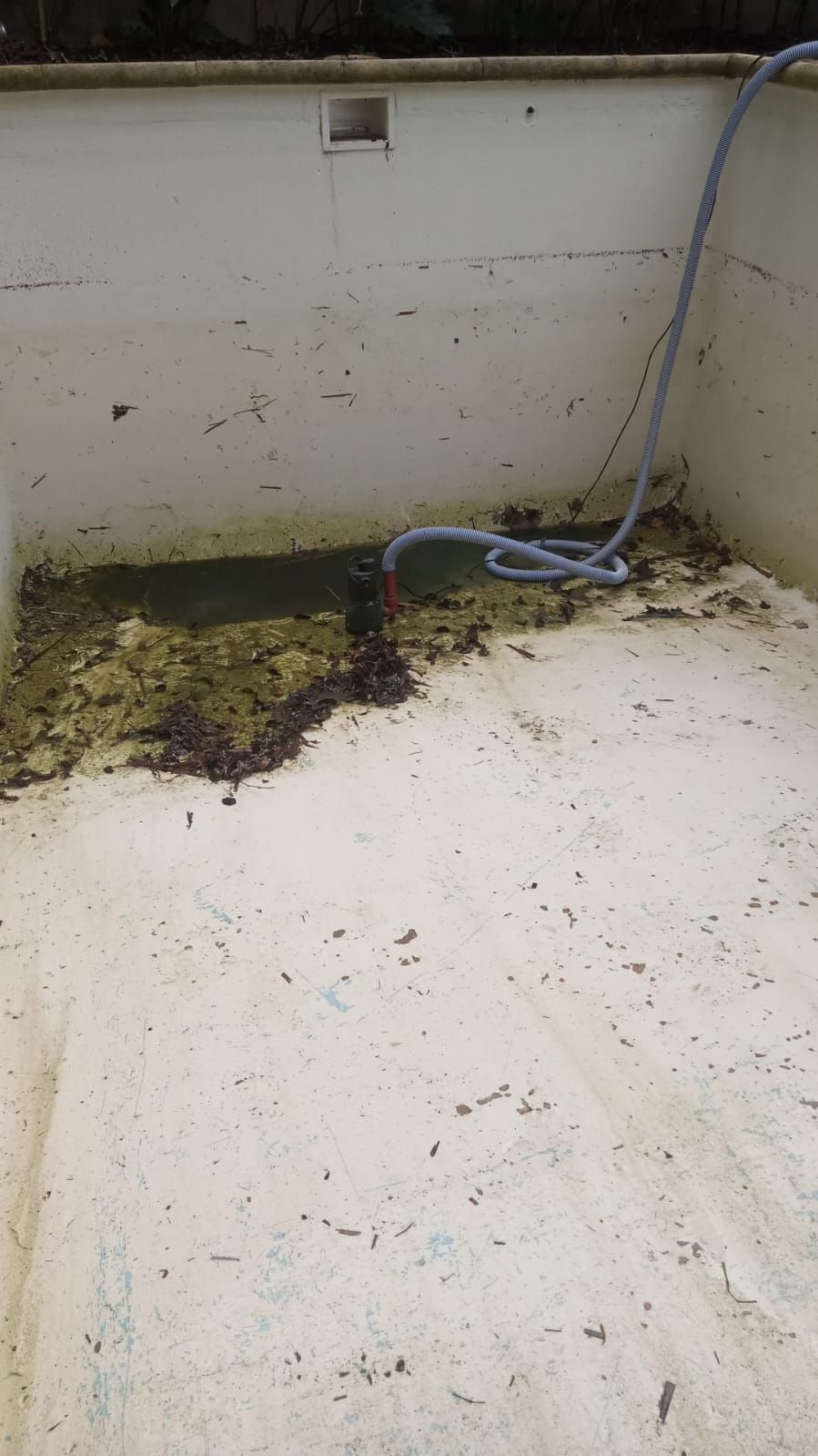 Mantenimiento de Piletas