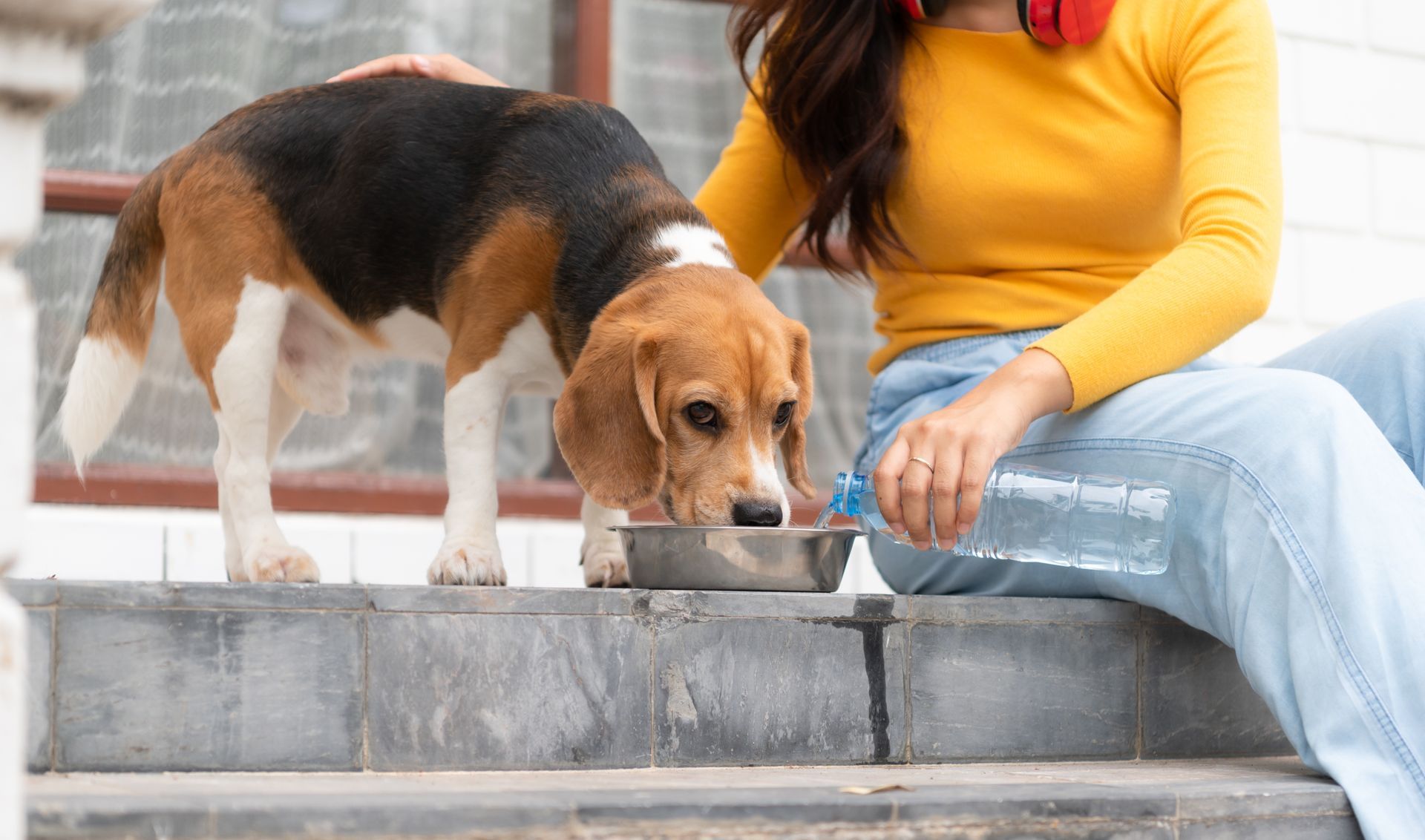 A woman is feeding her dog from a bowl while sitting on the steps.