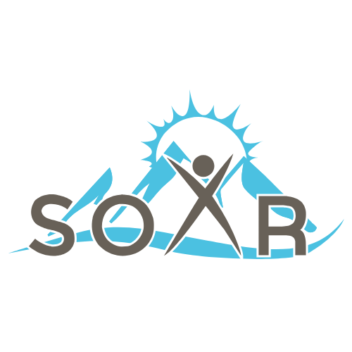 A white logo for SOAR .