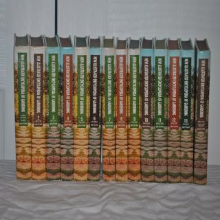 A bunch of books are lined up on a table