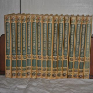 A row of books are lined up on a bed and one of them is titled 