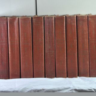 A row of brown books are lined up on a table.