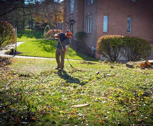 Yard Clean Up in Pittsburgh, PA