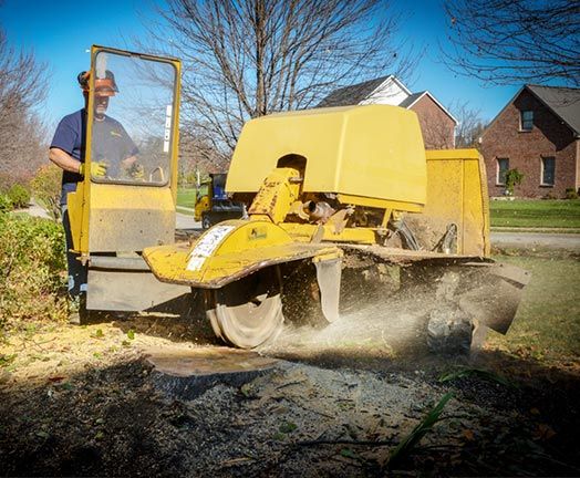 Stump Grinding in Pittsburgh, PA