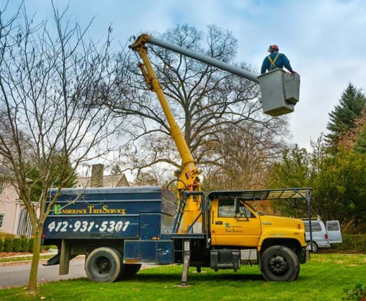 Tree Service Boom Truck in Pittsburgh, PA