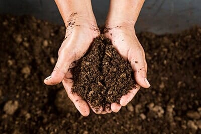Soil - Tree service in Pittsburgh, PA
