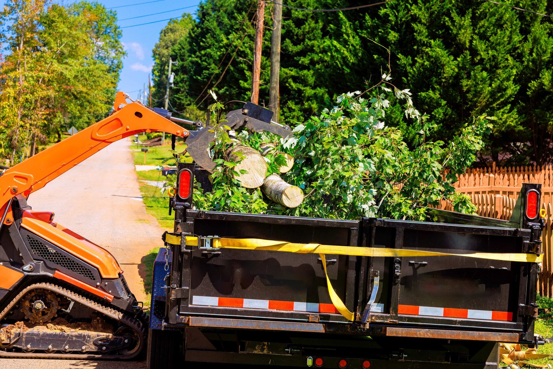 An orange skid steer loader placing tree branches and logs into a black dump truck on a rural road