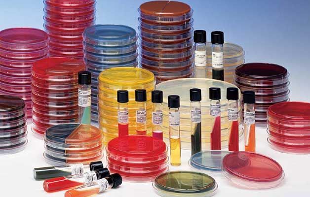 Un montón de placas de Petri y tubos de ensayo sobre una mesa.