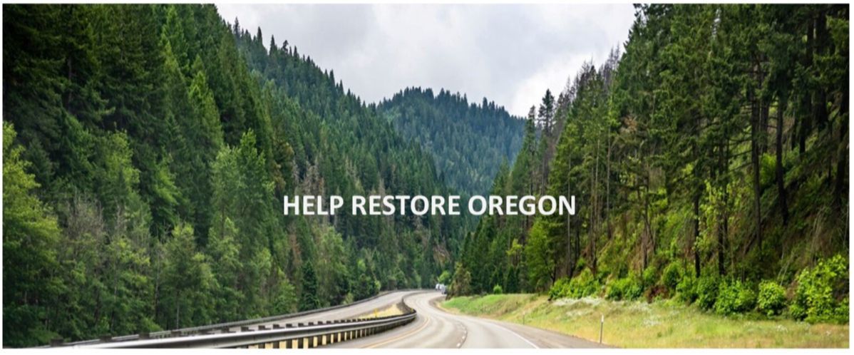 Tillamook County Republican Central Committee Issues Page Banner