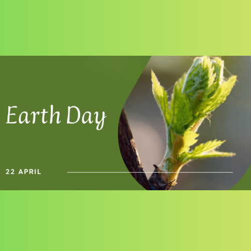 Hands decorating a Christmas wreath with dried fruit and greenery on a wooden table.
