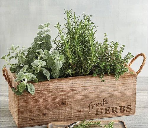 Hands decorating a Christmas wreath with dried fruit and greenery on a wooden table.