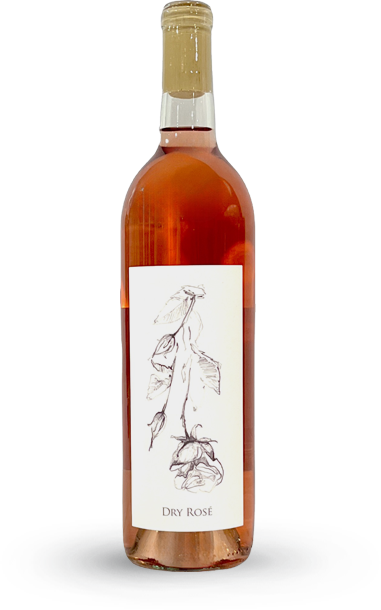 Bottle of rose wine with a gold top and a white label with a sketch.