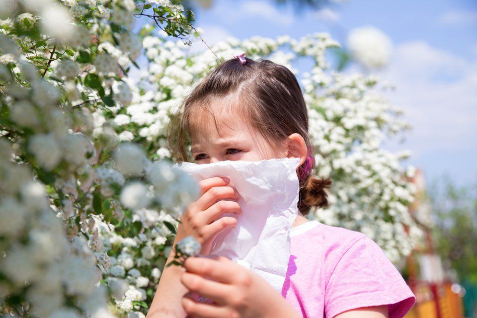 cura asma bronchiale