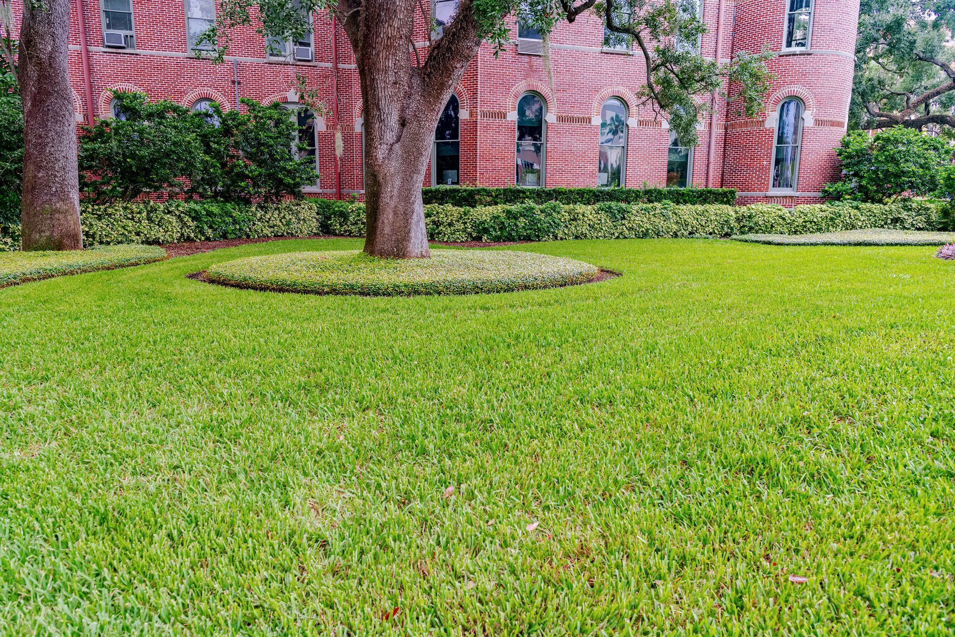 A large, ornate pink brick building stands behind a vibrant green lawn with a tree in the center.