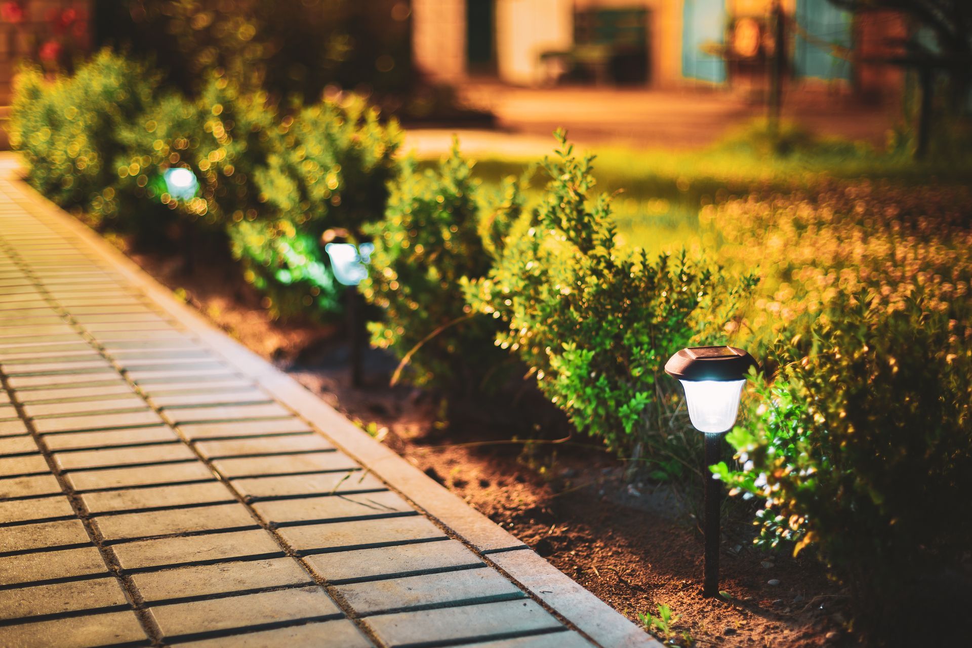 A paved walkway lined with glowing solar lights and green bushes in a garden setting at twilight.