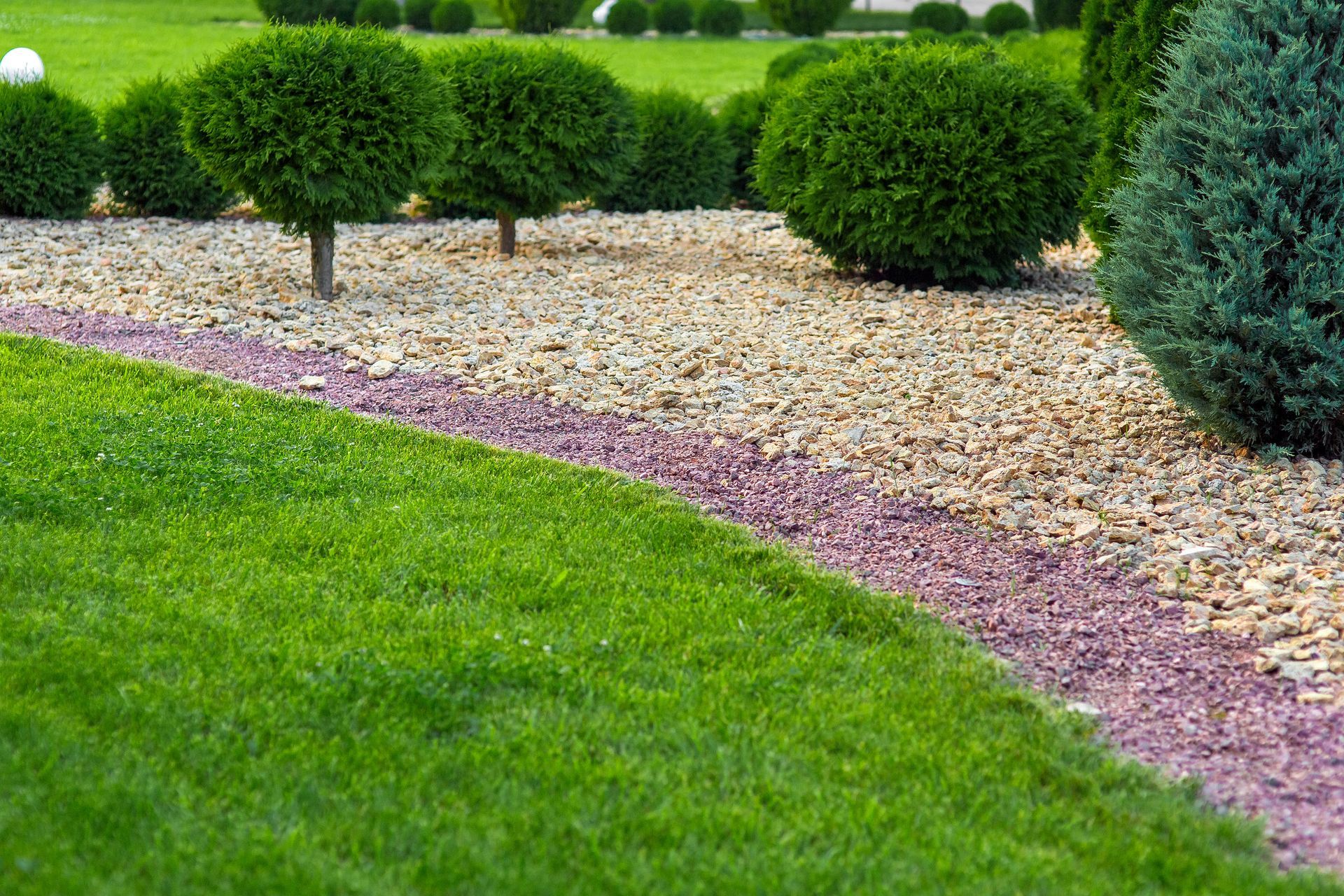 A manicured lawn meets a border of purple stone and light-colored gravel, accented by neatly trimmed round green shrubs.