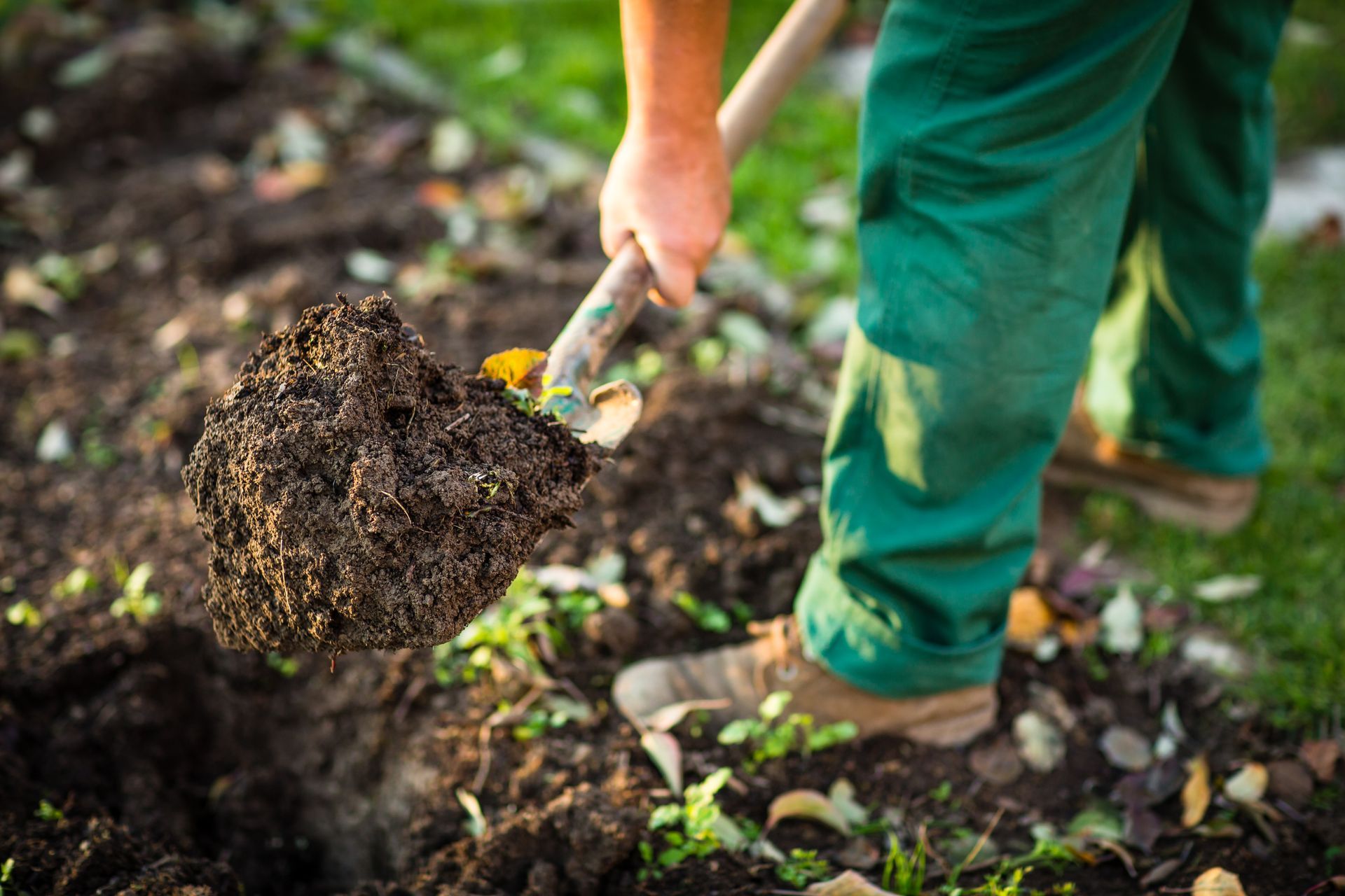 A person in green work pants uses a shovel to lift a pile of dark soil in a garden.