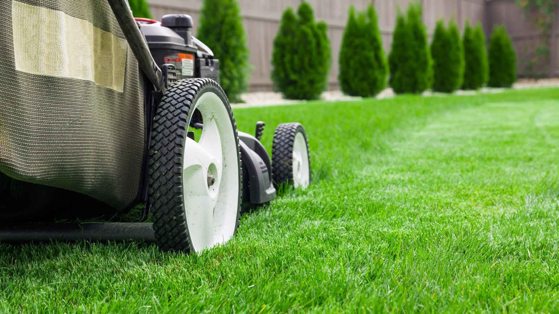 A lawnmower sits on a freshly cut green lawn, with a row of evergreen trees in the background. A lawnmower sits on a freshly cut green lawn, with a row of evergreen trees in the background.