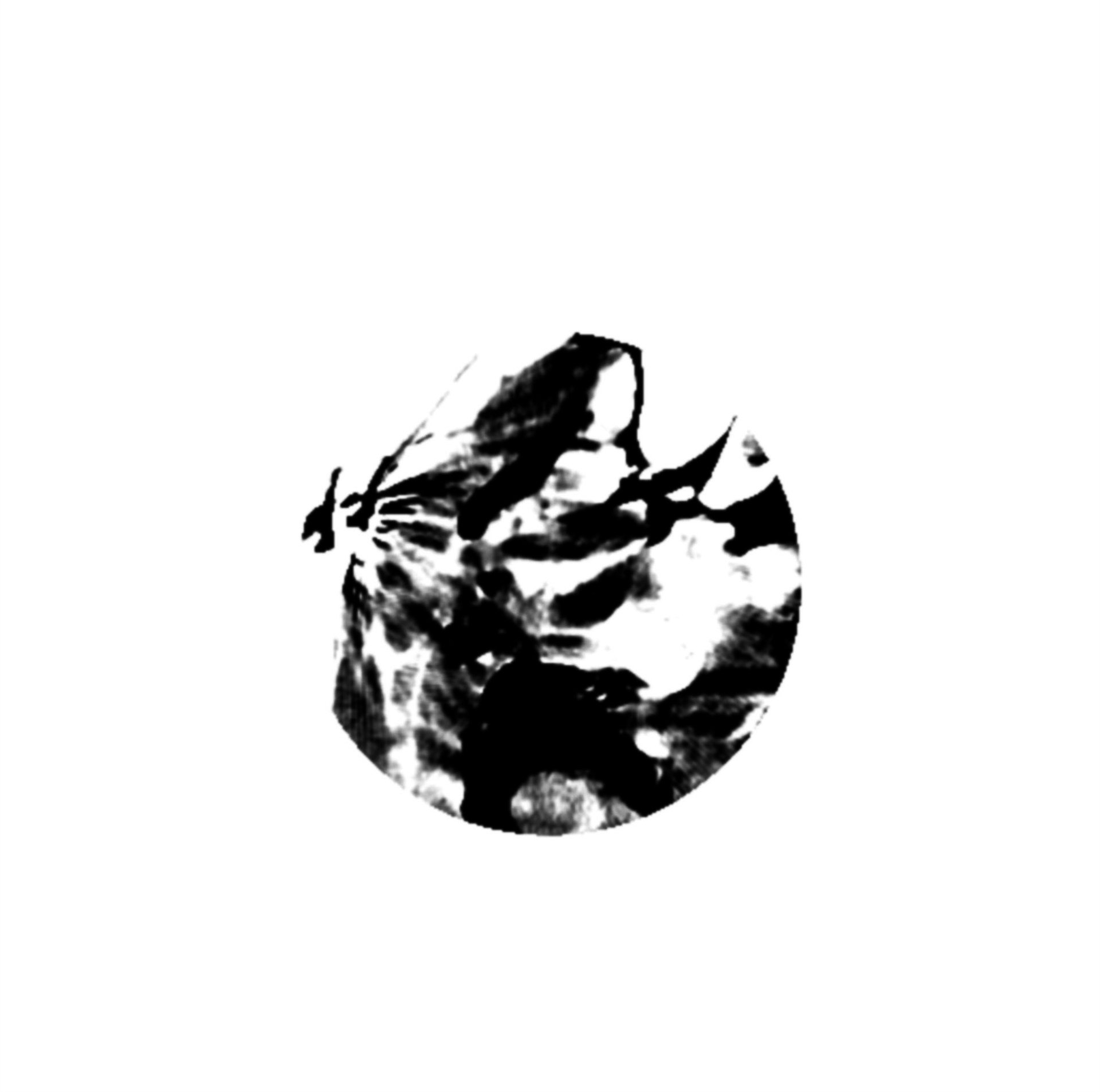 Black abstract design within a white circle, with erratic, smudged shapes.