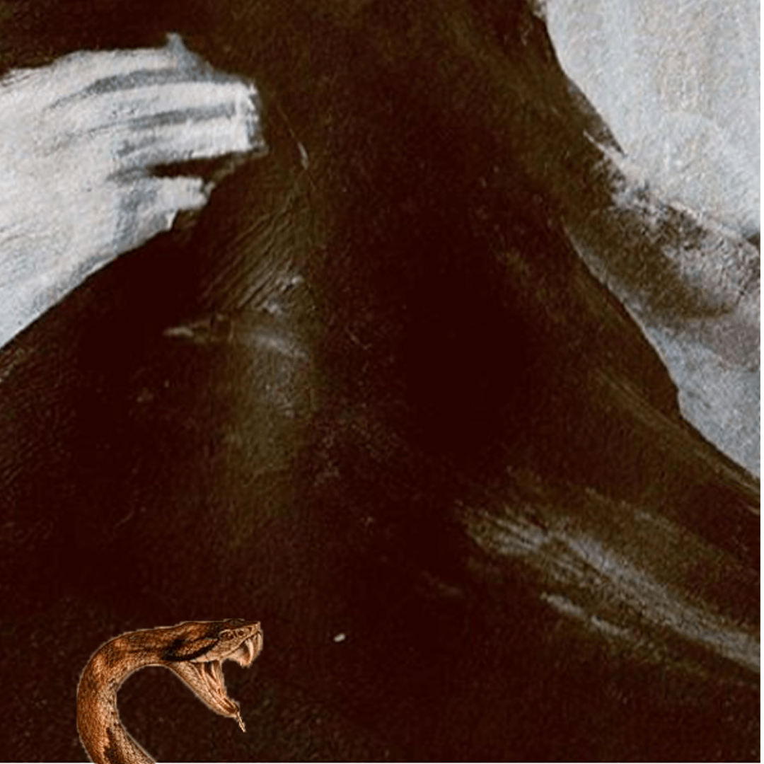 Dark, textured artwork with a snake at the bottom left; white paint strokes at the top.