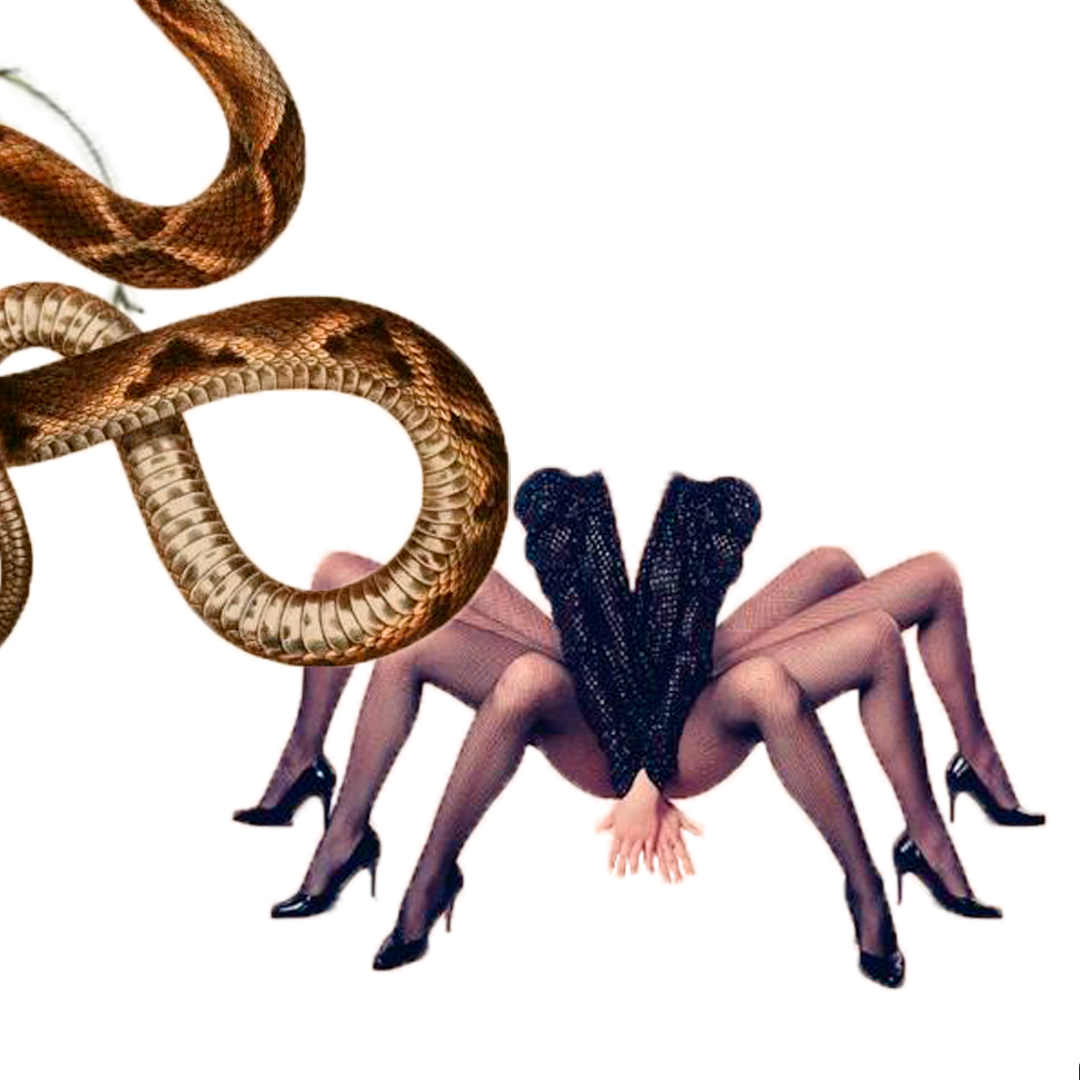Snake and a figure composed of legs in black stockings and heels.