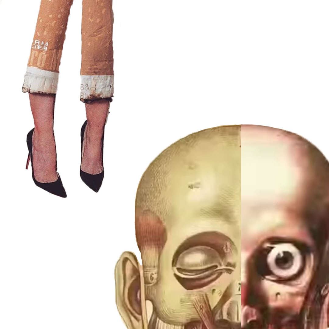 A pair of high-heeled legs next to a detailed illustration of a human skull.