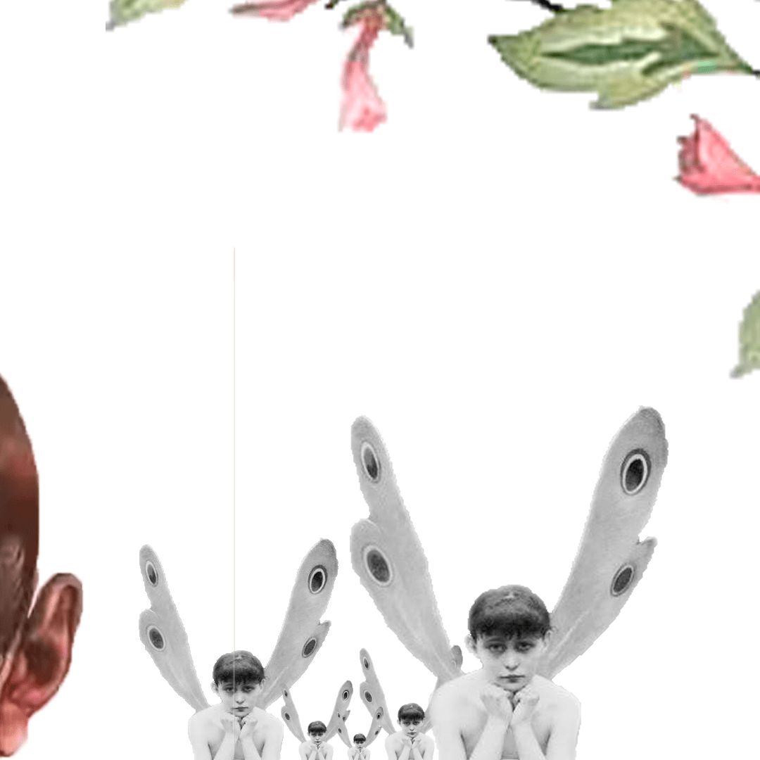 Children with butterfly wings, under flowers.