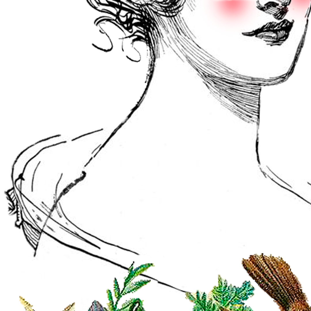 Woman's sketched face with highlighted cheek, above a green sprig and brown illustration.