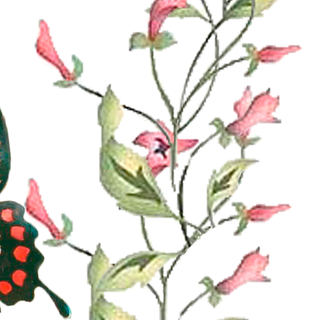 Floral vine with pink blossoms and green leaves.