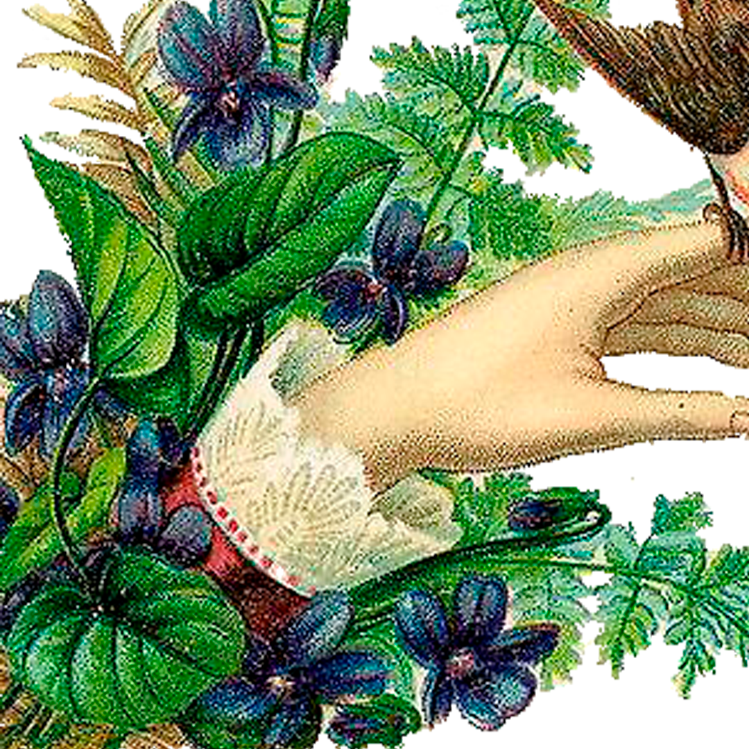 Hand holding a bird, surrounded by purple violets and green foliage.
