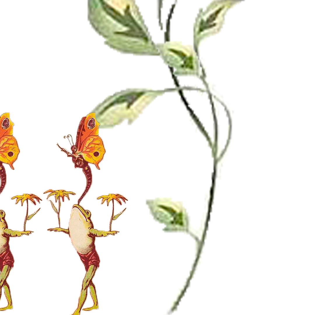 Whimsical illustration: Frogs holding flowers beneath an orange butterfly; vine with green and white leaves.