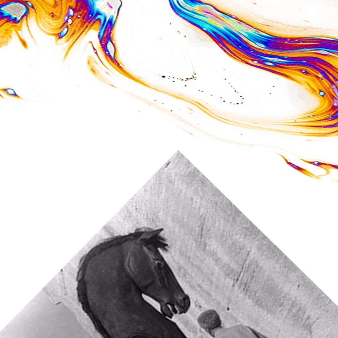 Black and white horse profile, inside a white triangle, against white background, with abstract colorful swirls.