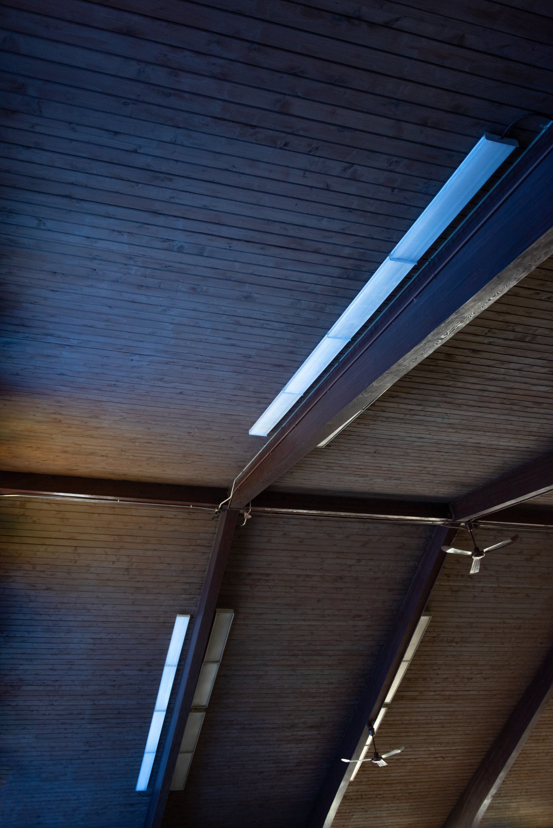 Looking up at the ceiling of a church.