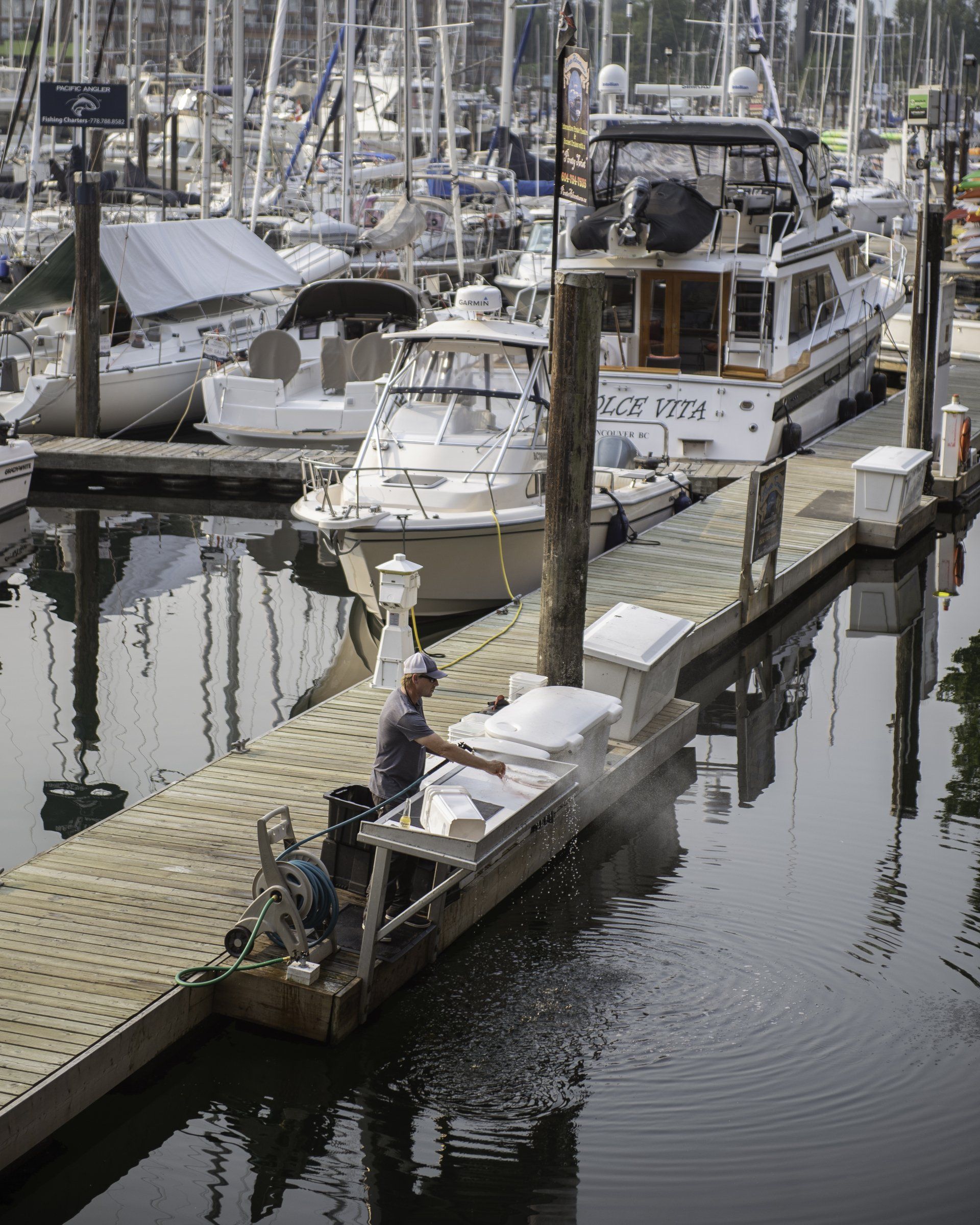 Man cleaning fish on a dock at a marina, boats in background.