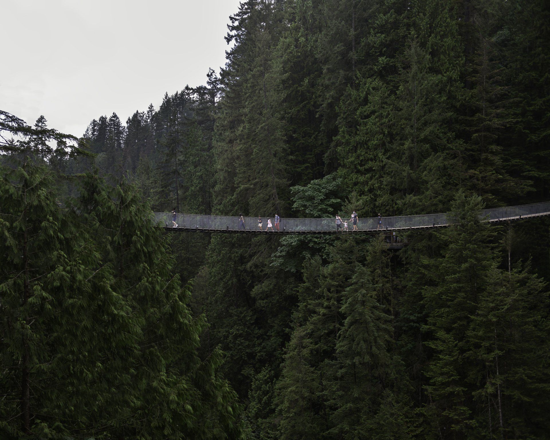 Suspension bridge with people crossing high above a lush green forest on a misty day.