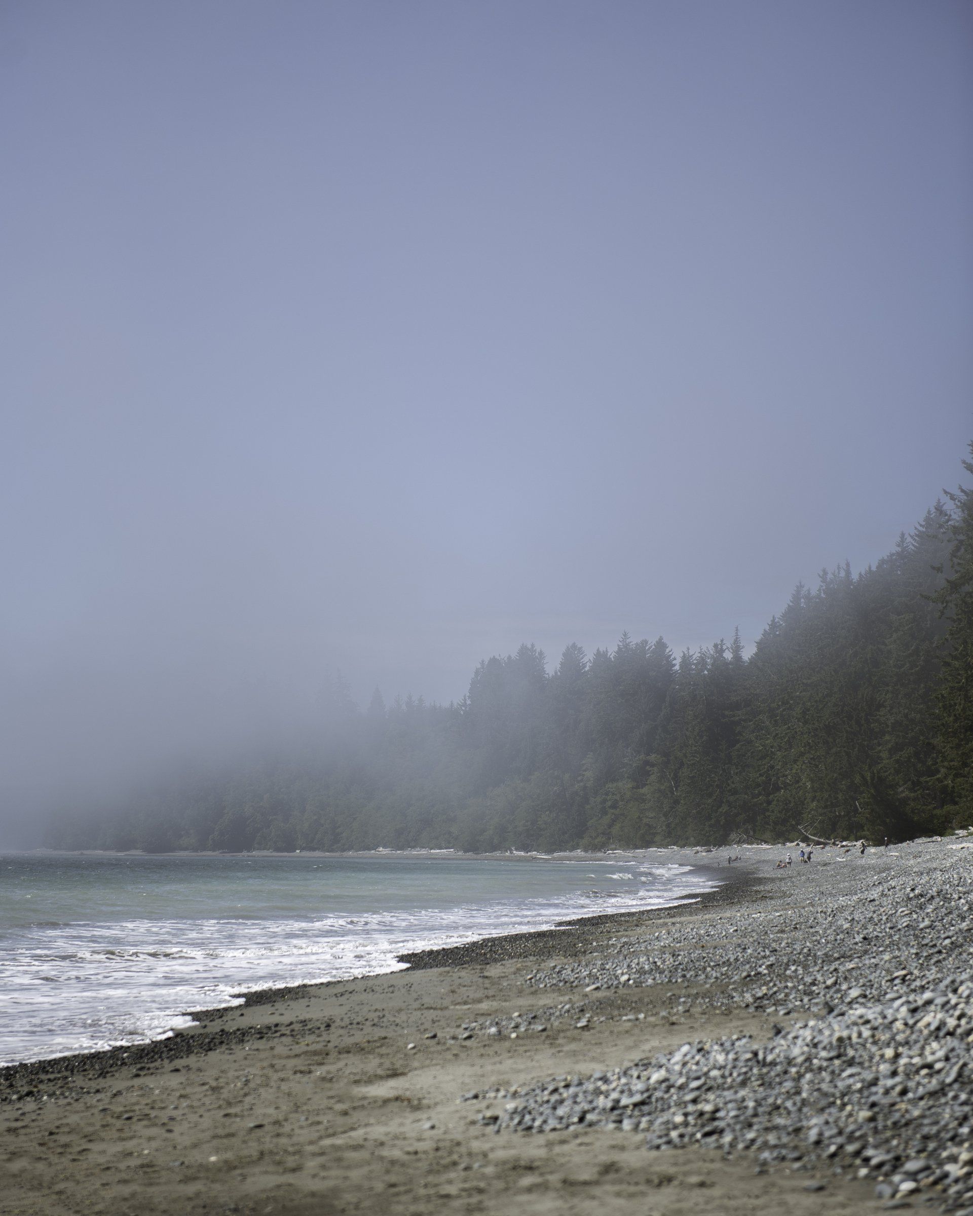 A foggy beach with waves, pebbles, and a treeline in the distance.