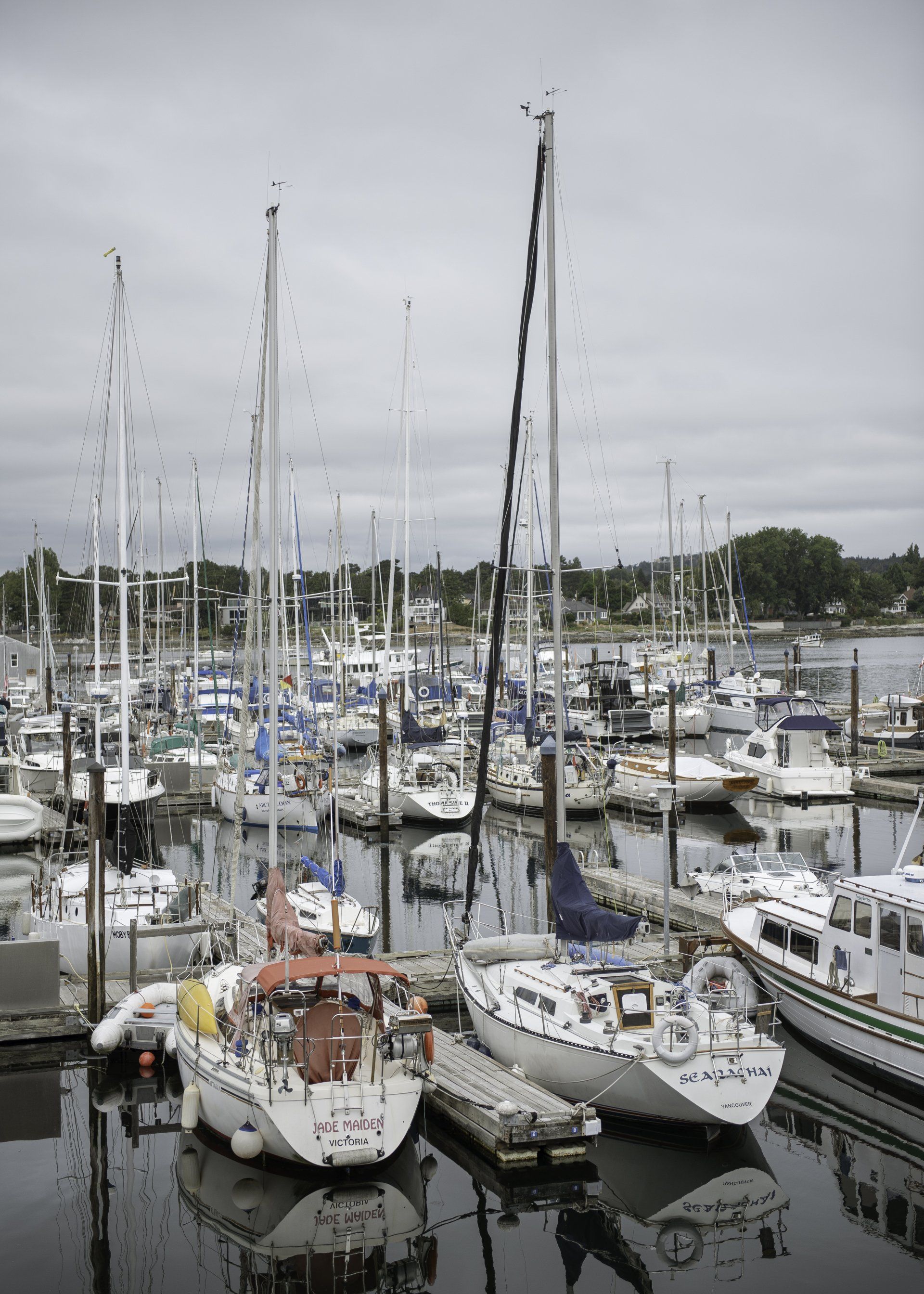 Sailboats docked in a harbor, masts reaching skyward under a cloudy sky.