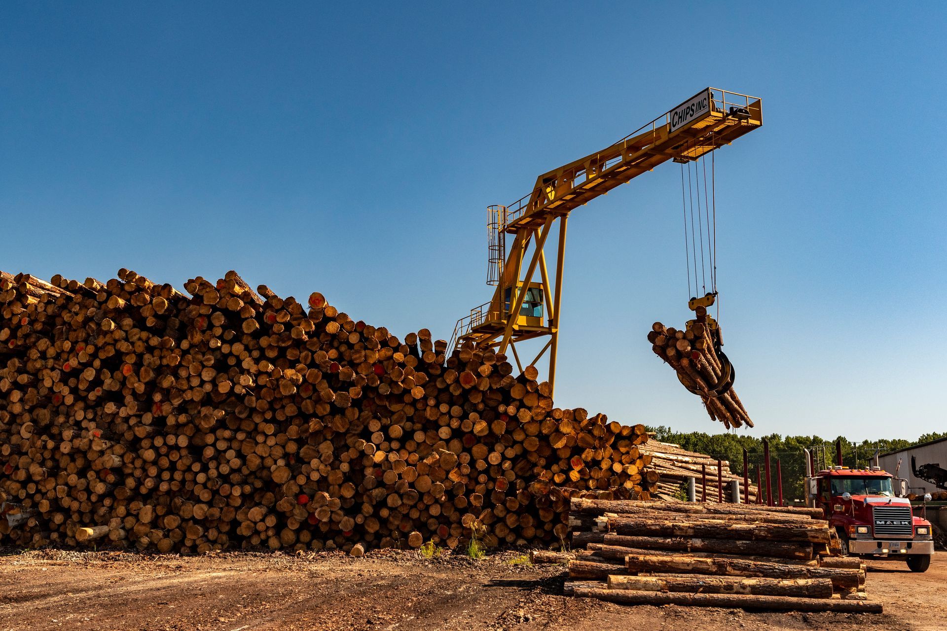 A large pile of logs is being lifted by a crane.