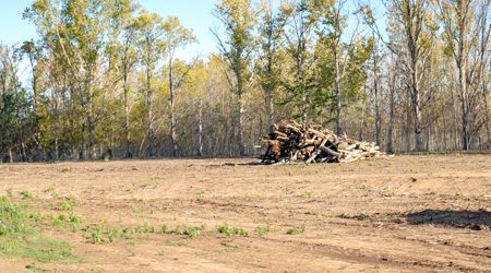 A pile of logs is sitting in the middle of a dirt field.