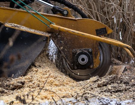 A stump grinder is cutting a tree stump in the snow.