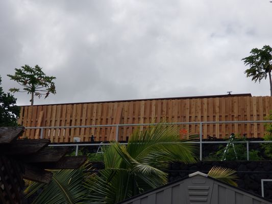 A wooden fence is surrounded by palm trees and a shed