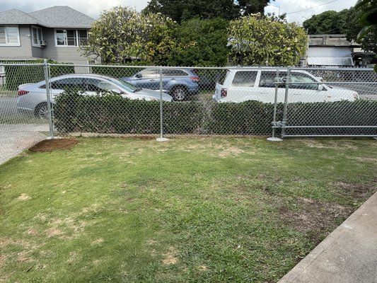 A chain link fence surrounds a lush green yard with cars parked in front of it.