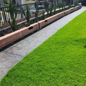 A lush green lawn with a sidewalk and a fence in the background.