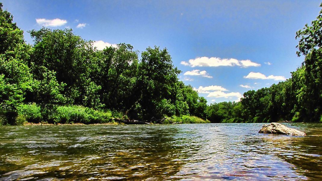 A river surrounded by trees on a sunny day