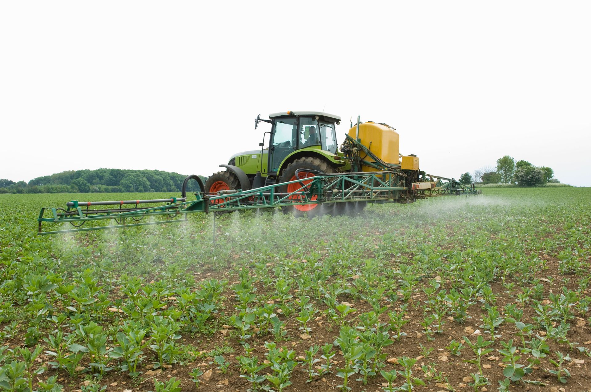 A tractor is spraying a field of plants with a sprayer.
