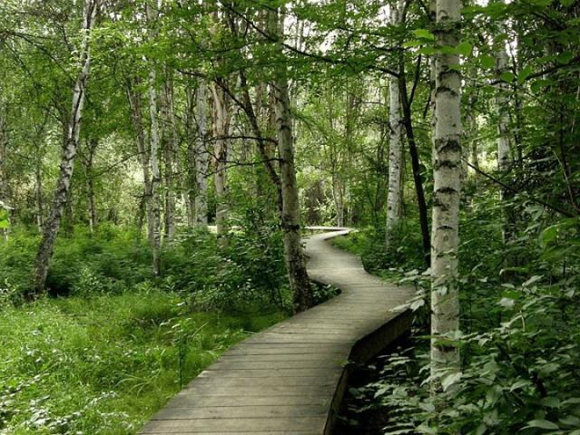 Attractions in Fairbanks - Creamer's Field Migratory Waterfowl Refuge